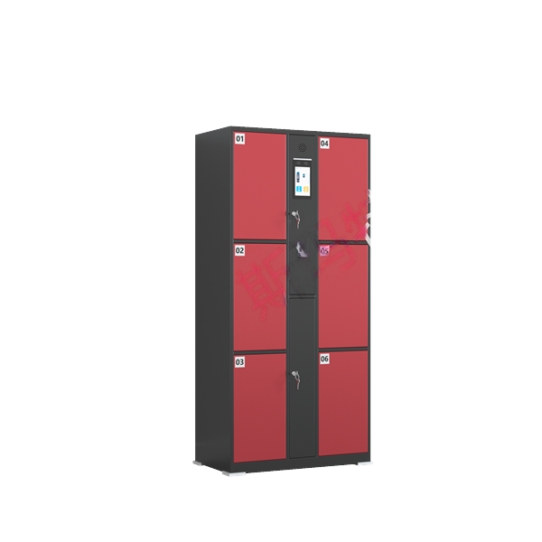 Intelligent storage cabinet with 6 doors