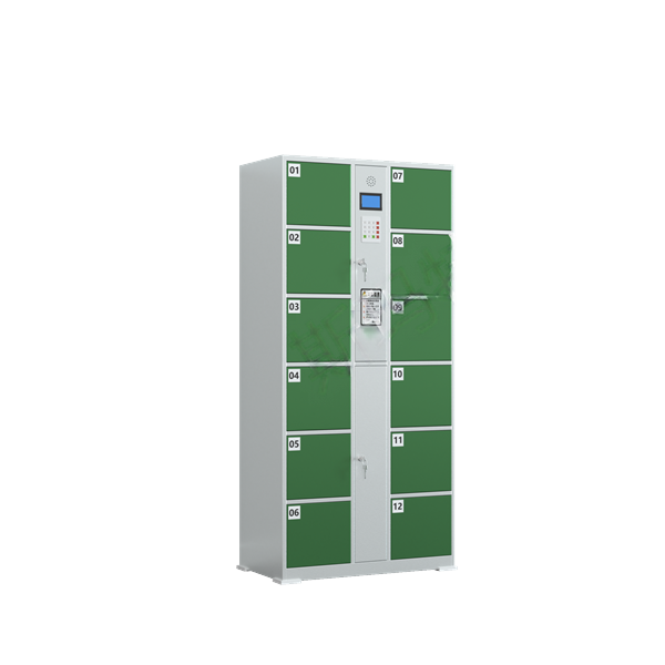 Intelligent storage cabinet with 12 doors
